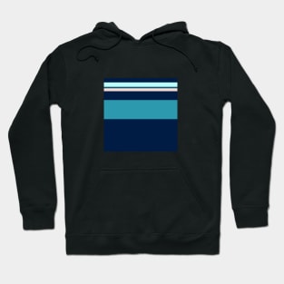 An unparagoned recipe of Oxford Blue, Deep Sea Blue, Christmas Blue, Pale Cyan and Pale Pink stripes. - Sociable Stripes Hoodie